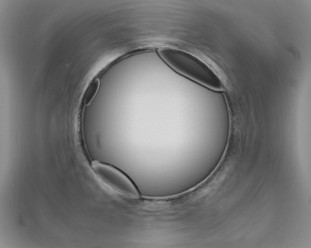 X0000113151285200909040924