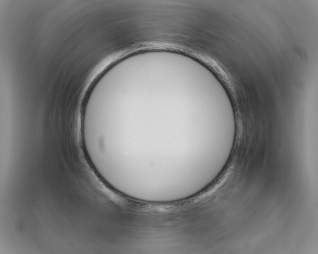 X0000113151286200909040924