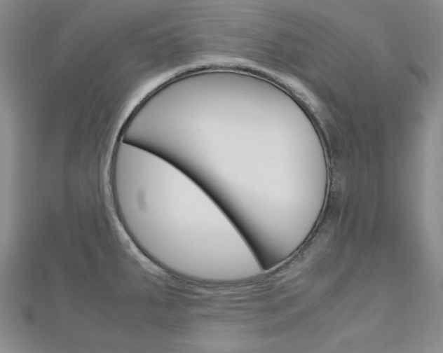 X0000113151287200909040924