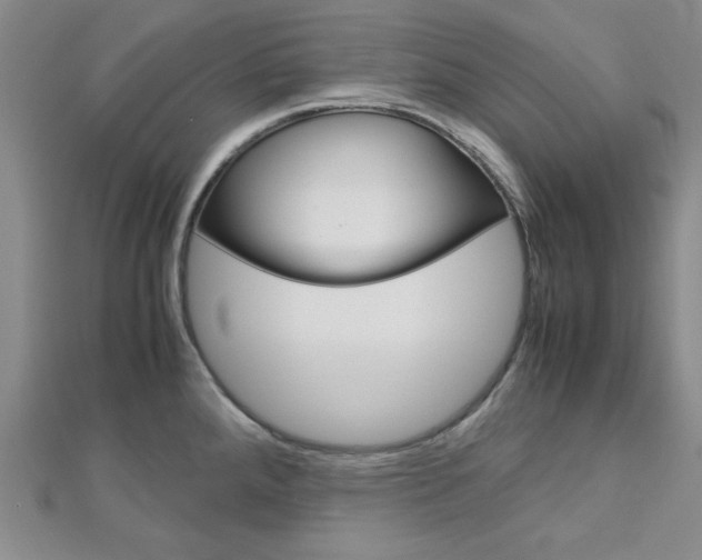 X0000113151288200909040924