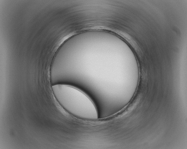 X0000113151289200909040924