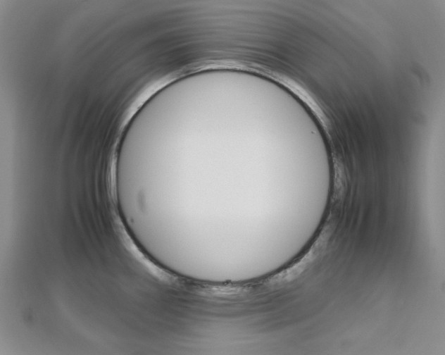 X0000113151290200909040924
