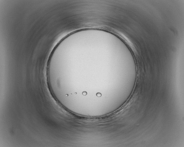 X0000113151291200909040924