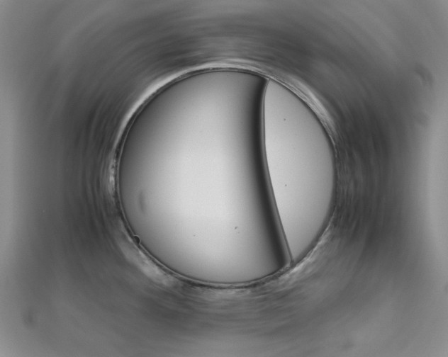 X0000113151292200909040924