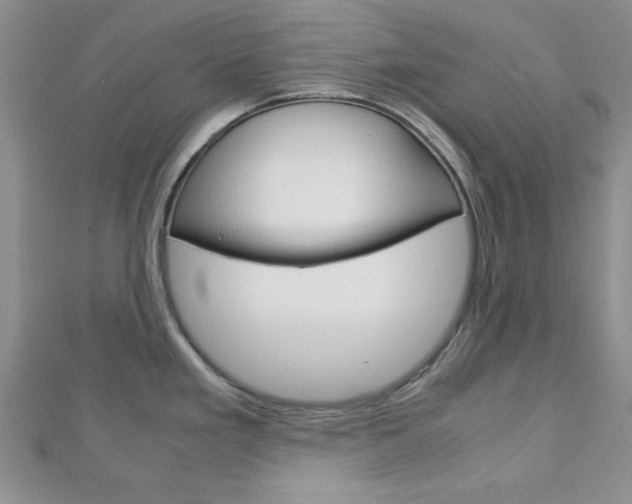 X0000113151293200909040924