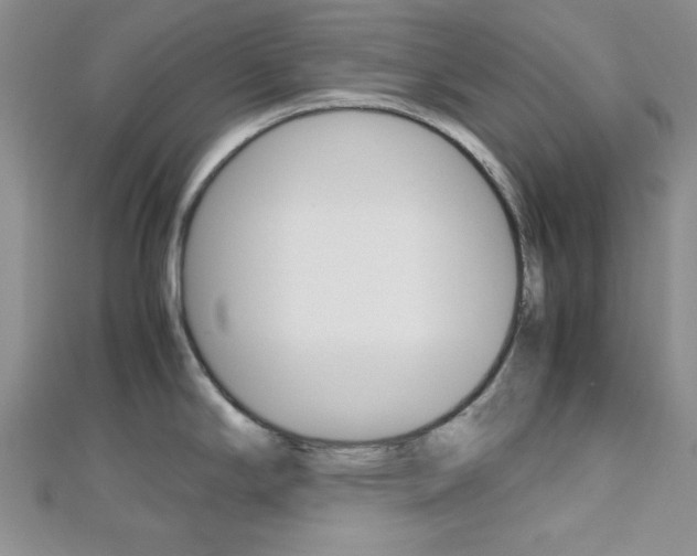 X0000113151294200909040924