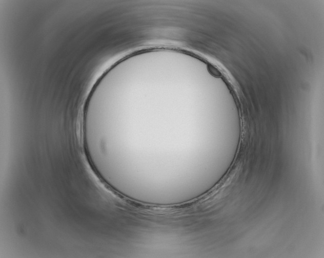 X0000113151295200909040924