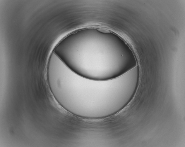 X0000113151296200909040924