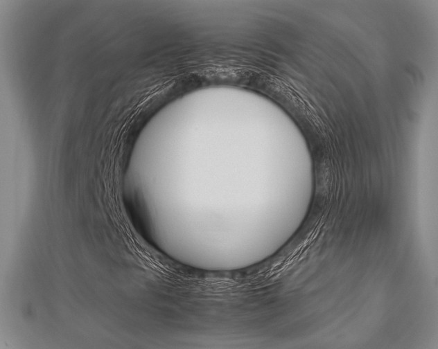 X0000113151297200909040923
