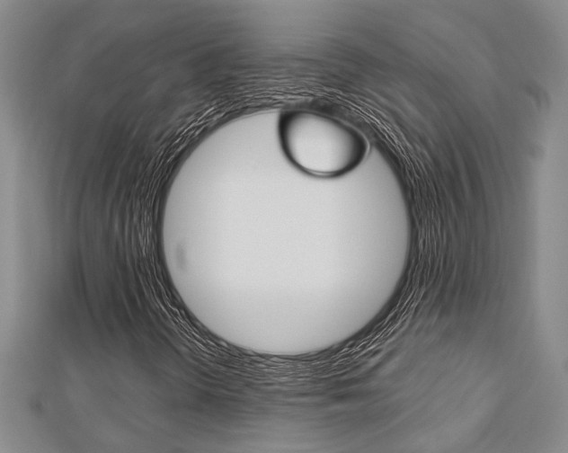 X0000113151298200909040923