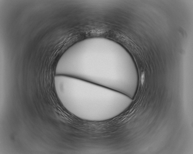 X0000113151299200909040923