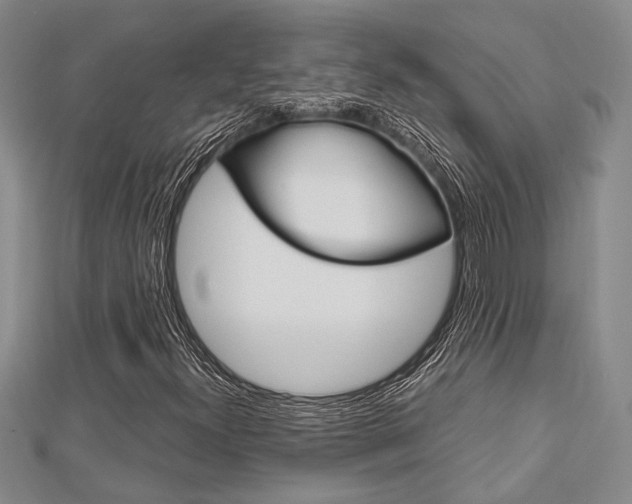 X0000113151300200909040923