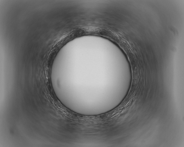 X0000113151301200909040923