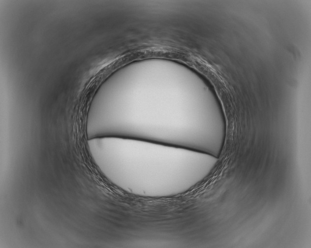 X0000113151303200909040924