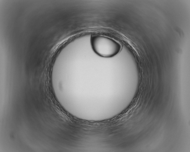 X0000113151304200909040924