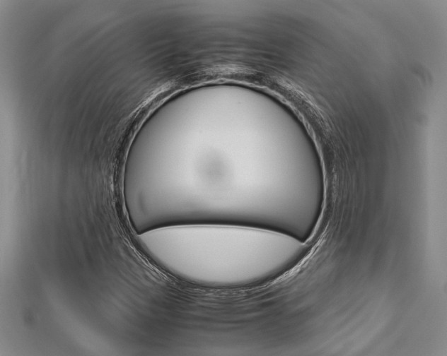 X0000113151305200909040924