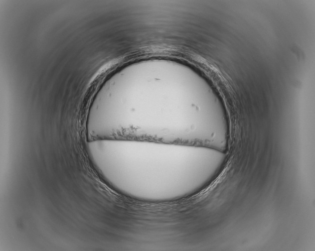 X0000113151306200909040924