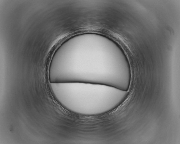 X0000113151307200909040924