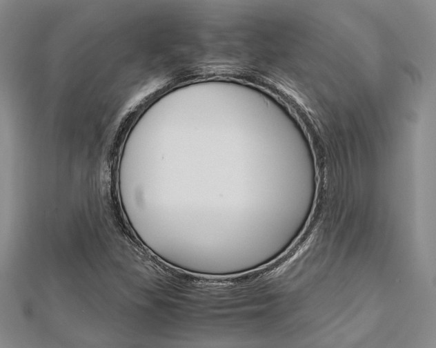 X0000113151309200909040924