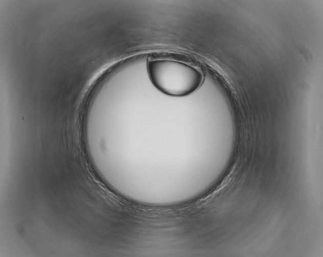 X0000113151310200909040924