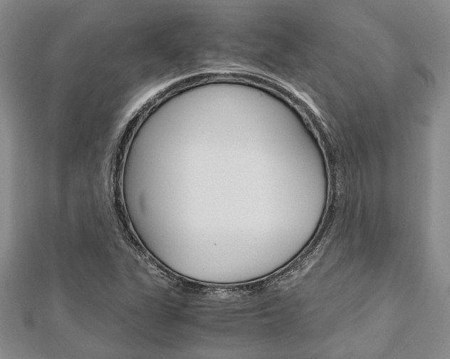 X0000113151311200909040924