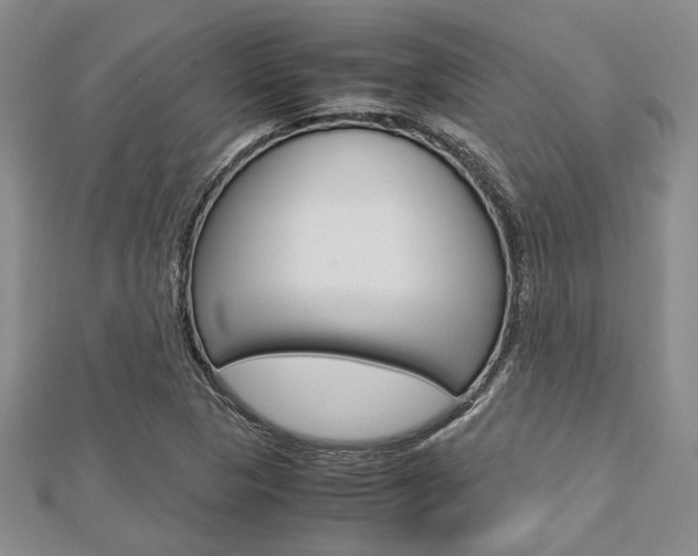 X0000113151313200909040924