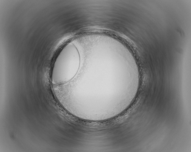 X0000113151314200909040924