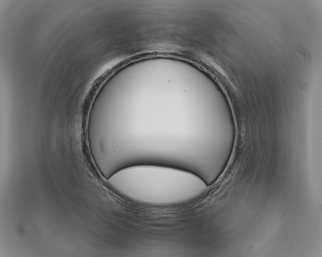 X0000113151315200909040924