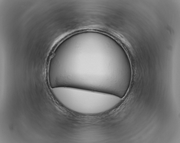 X0000113151316200909040924