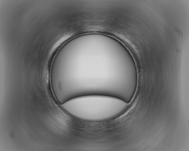 X0000113151317200909040924