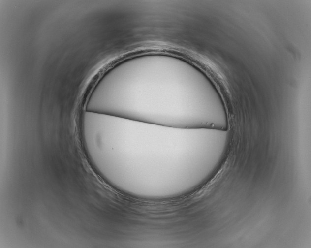 X0000113151318200909040924