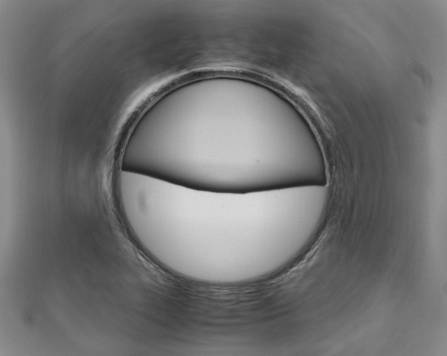 X0000113151319200909040924