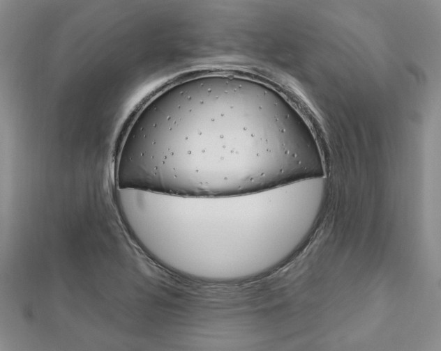 X0000113151320200909040924