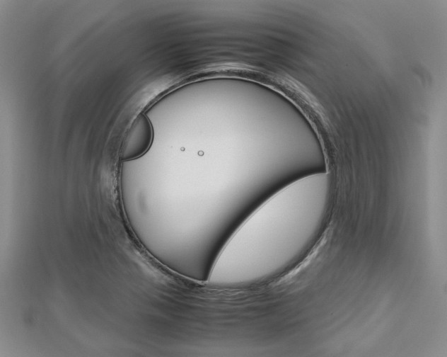X0000113151321200909040924