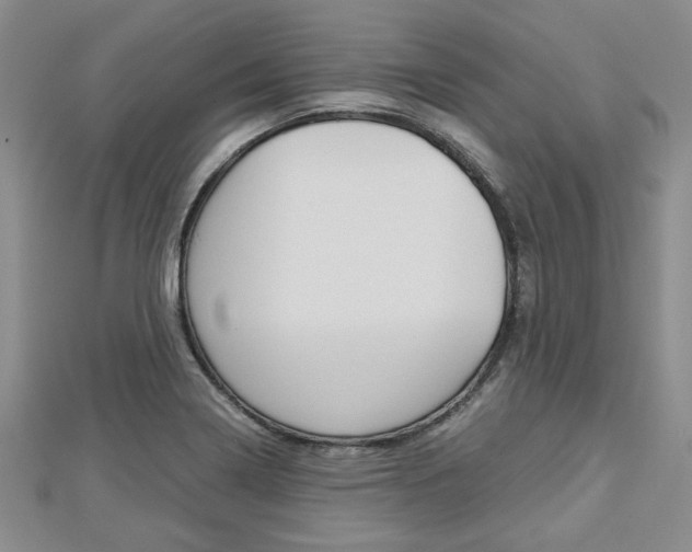 X0000113151322200909040924
