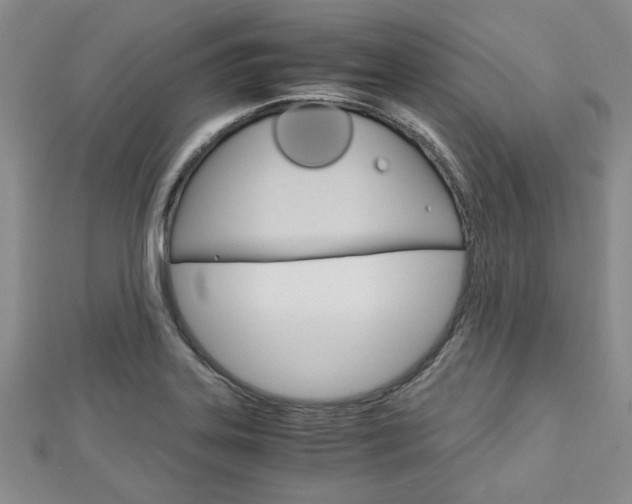 X0000113151323200909040924