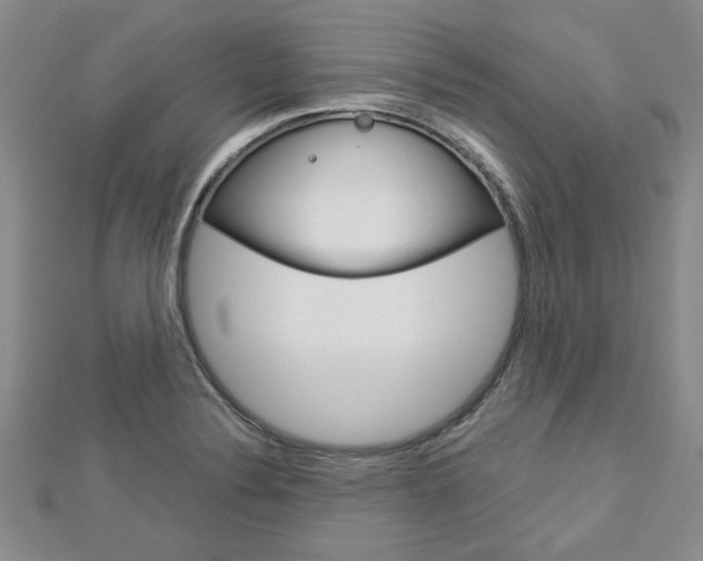 X0000113151324200909040924