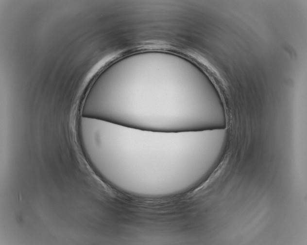 X0000113151325200909040924