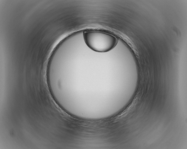 X0000113151326200909040924