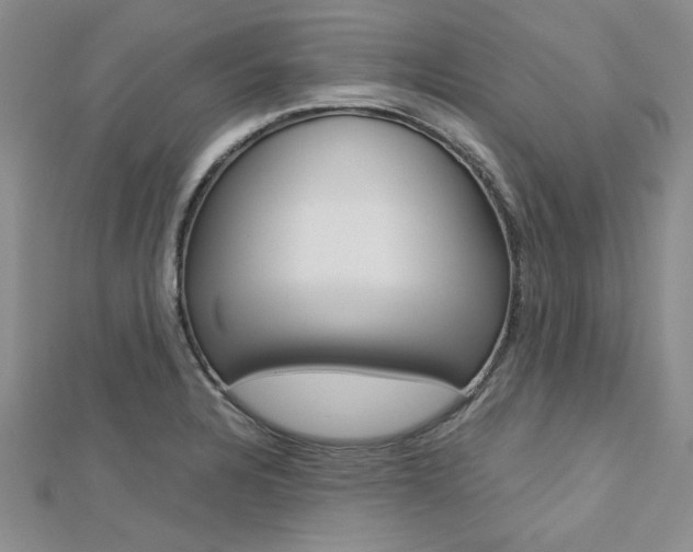 X0000113151328200909040924