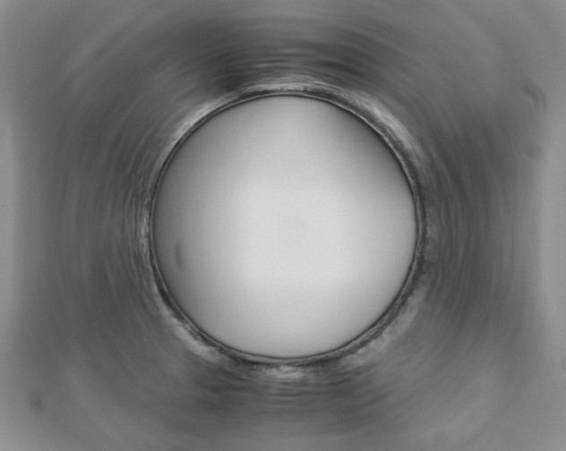 X0000113151329200909040924