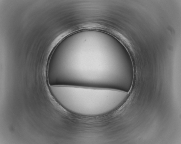 X0000113151330200909040924