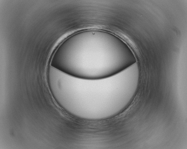 X0000113151332200909040924