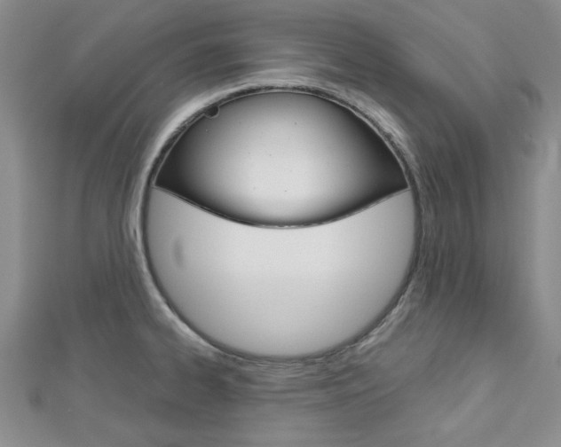 X0000113151334200909040924