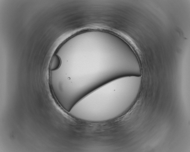 X0000113151335200909040924