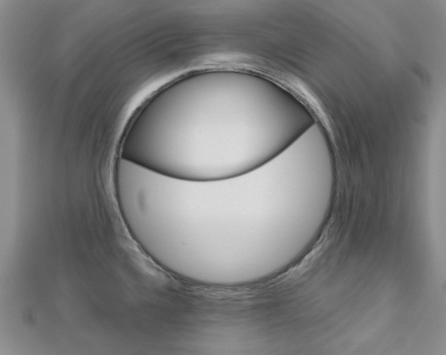 X0000113151336200909040924