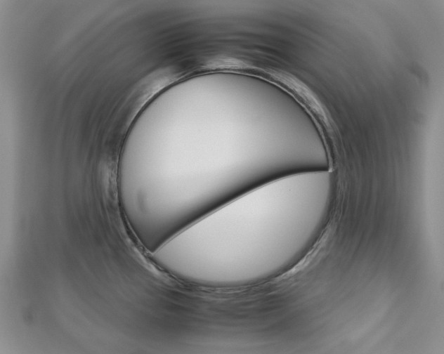 X0000113151337200909040924