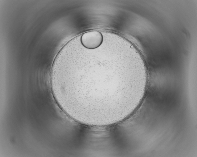 X0000113151338200909040924