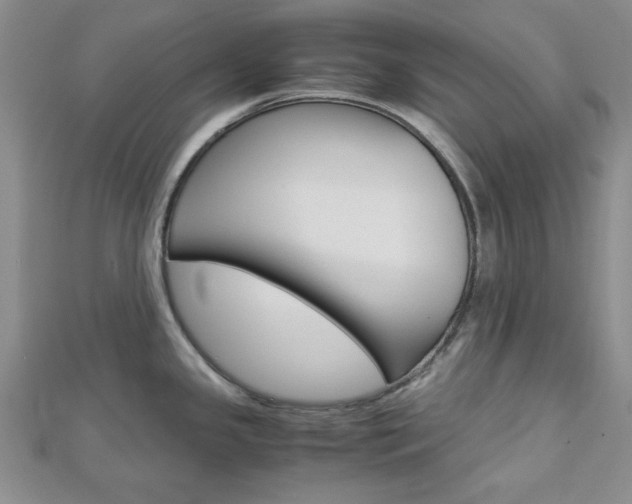 X0000113151341200909040924