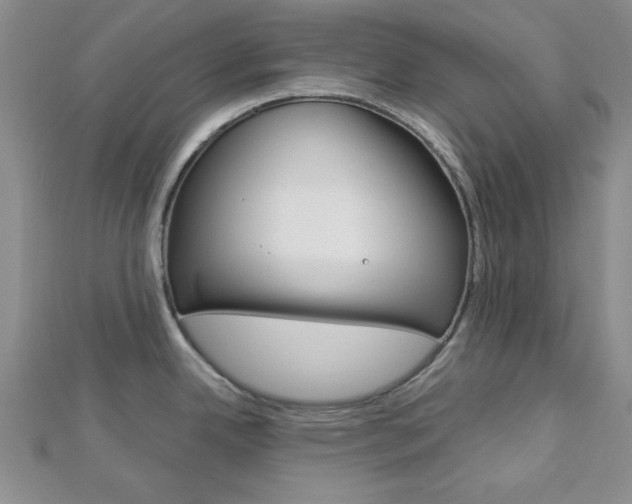 X0000113151342200909040924